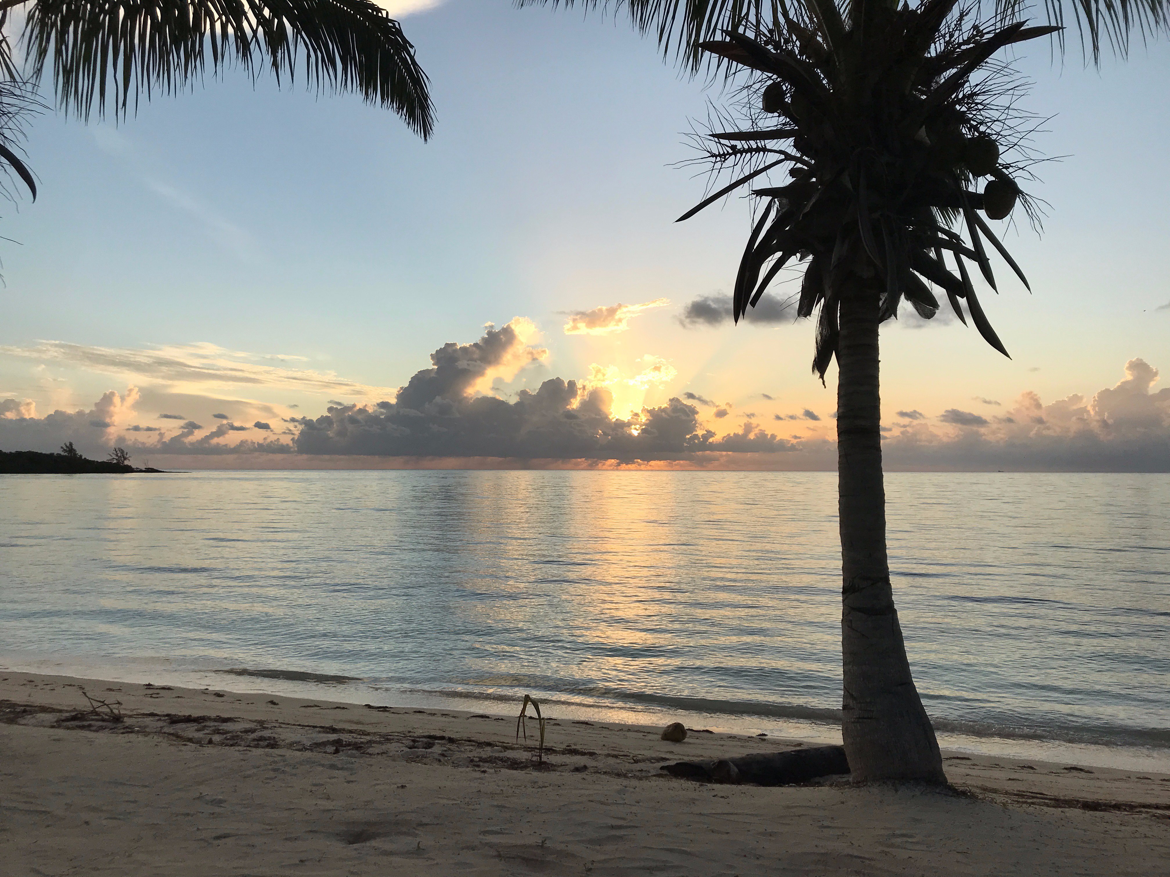 Swains Cay Lodge-泳池