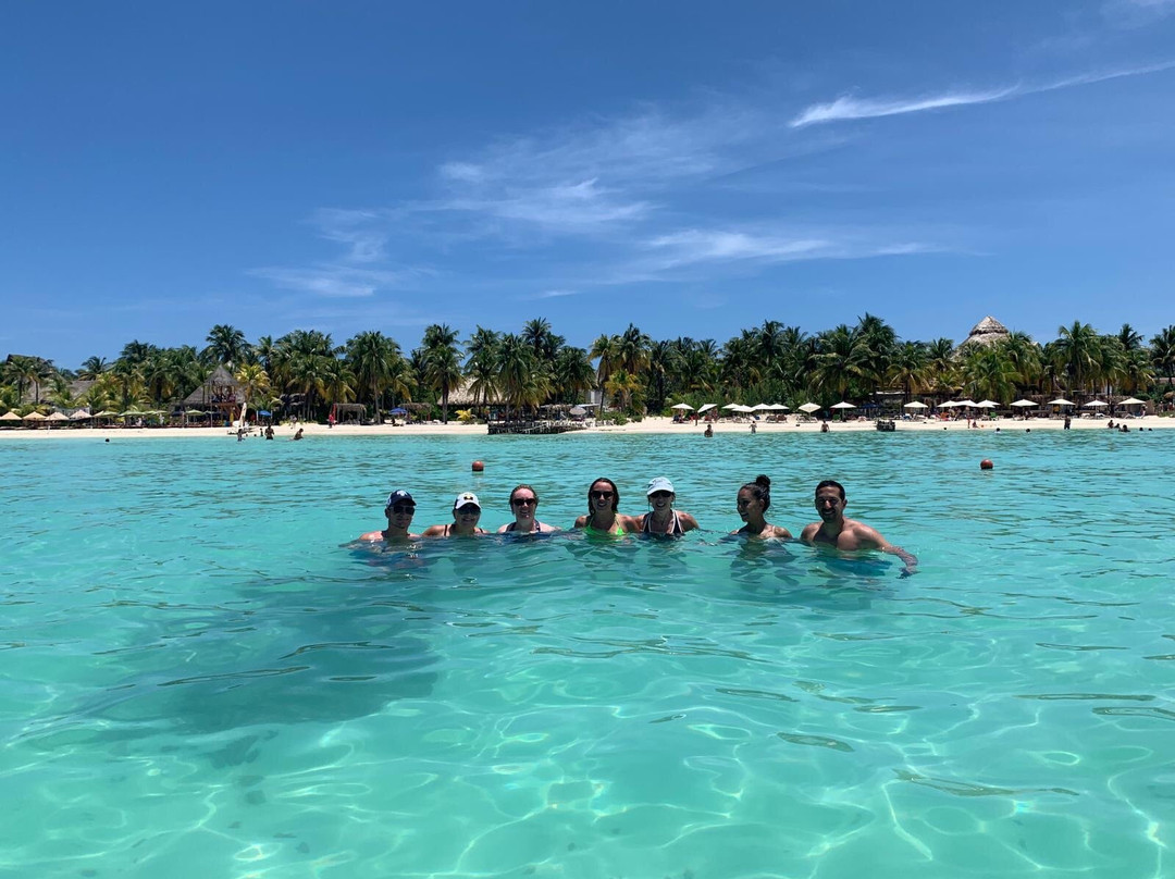 Swim With Whale Sharks-坎昆必去景点
