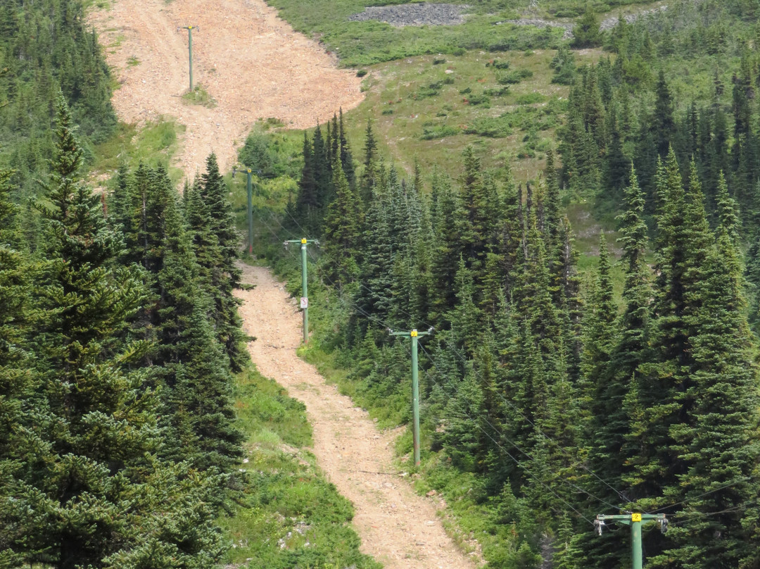 Hudson Bay Mountain Resort-Smithers必去景点