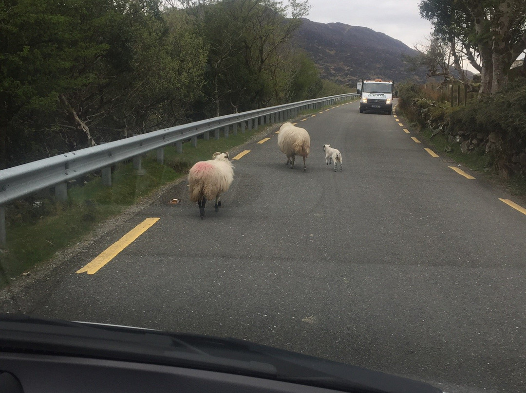 Killarneydaytours-基拉尼必去景点