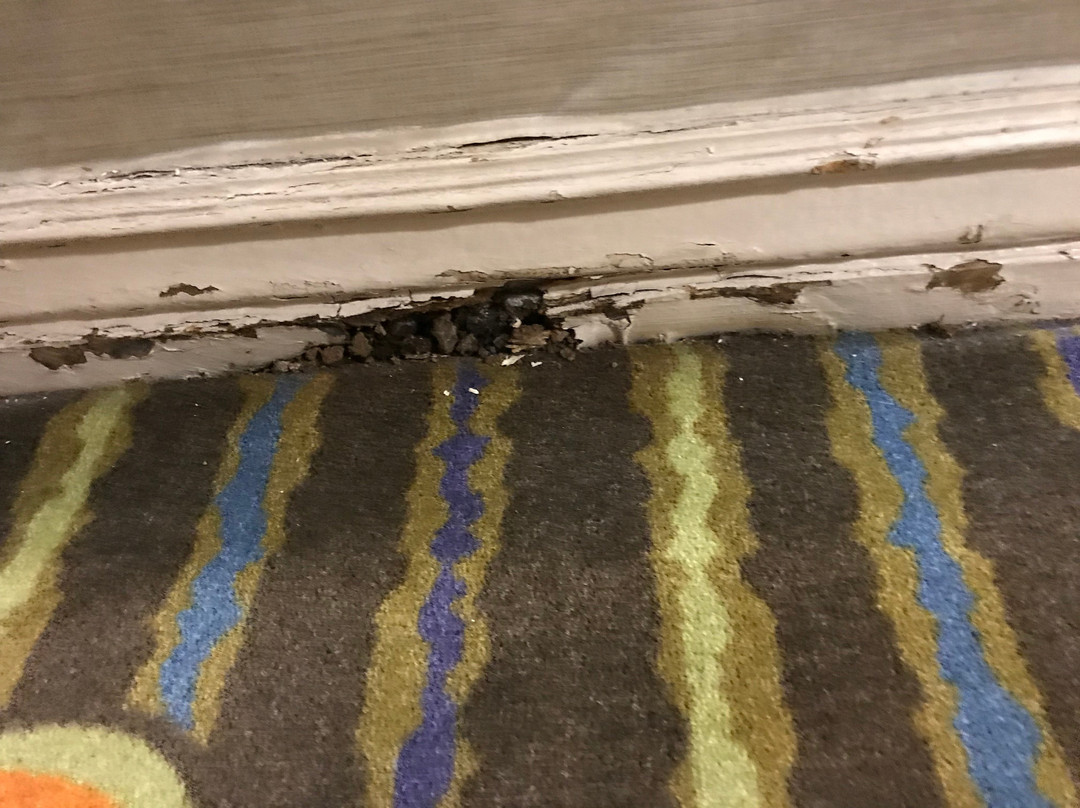 埃尔帕索机场浩枫温德姆公寓店主图