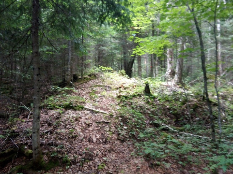 Gîte Le Presbytère de Lac-Édouard主图