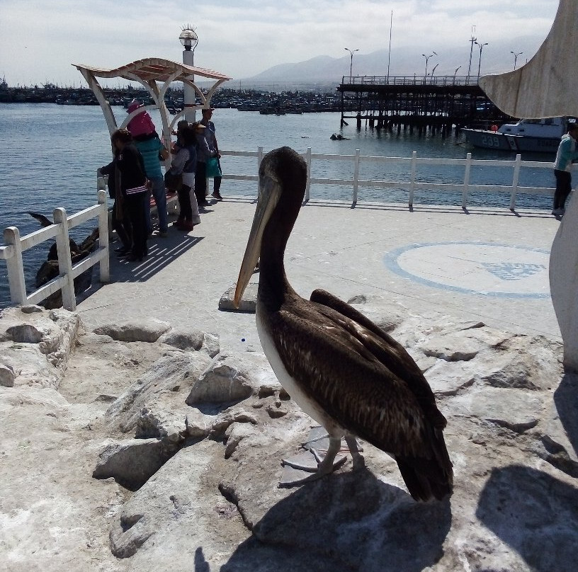 Glorieta Jose Galvez-Ilo必去景点