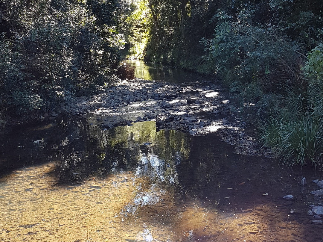 D’Aguilar National Park景点图片