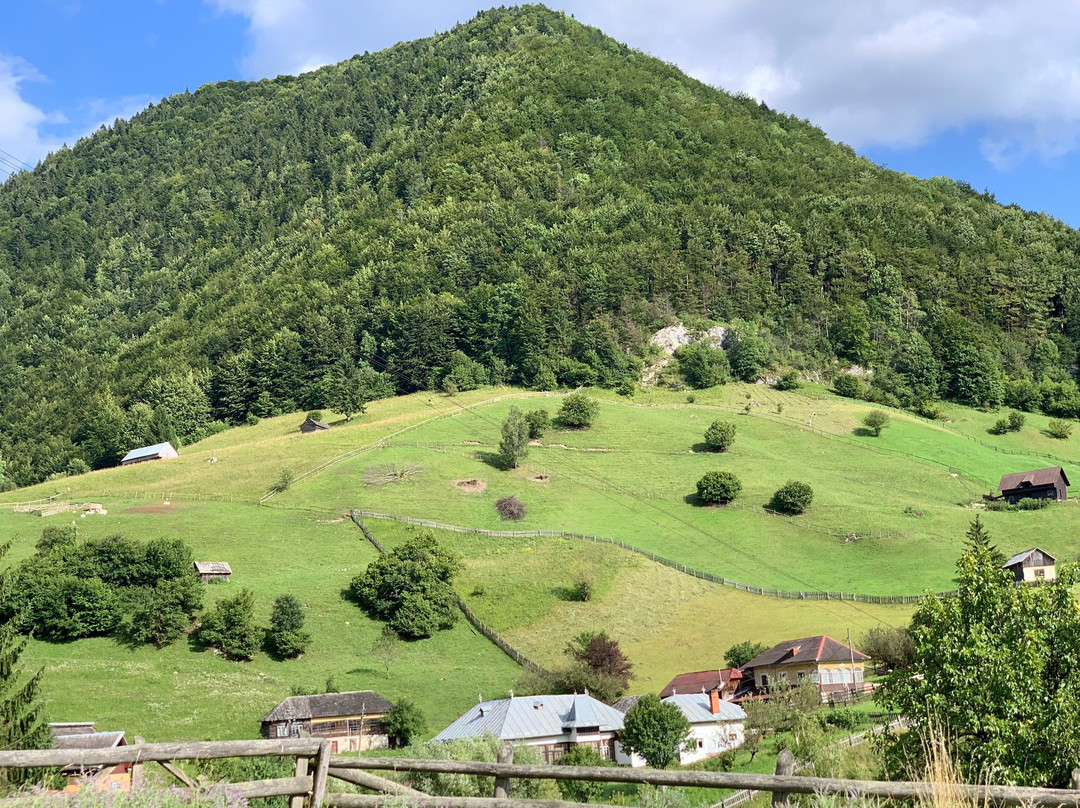 Dambovicioara Cave景点图片