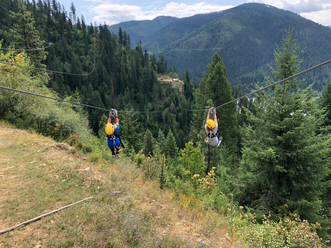 Silver Streak Zipline Tours景点图片