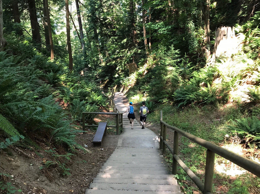 UBC噶格酒店式公寓主图