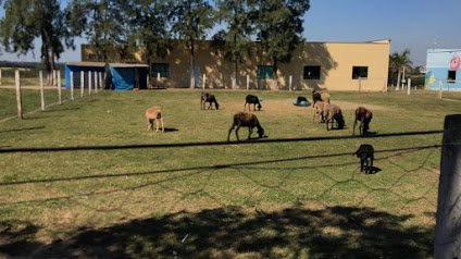 Hotel Fazenda Vida Bela主图