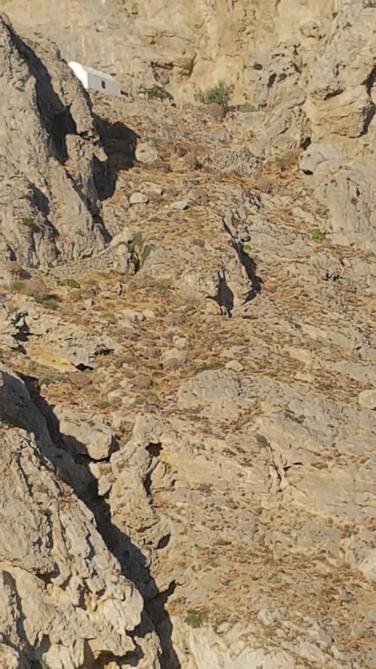 阿特米斯佩里萨酒店-官方