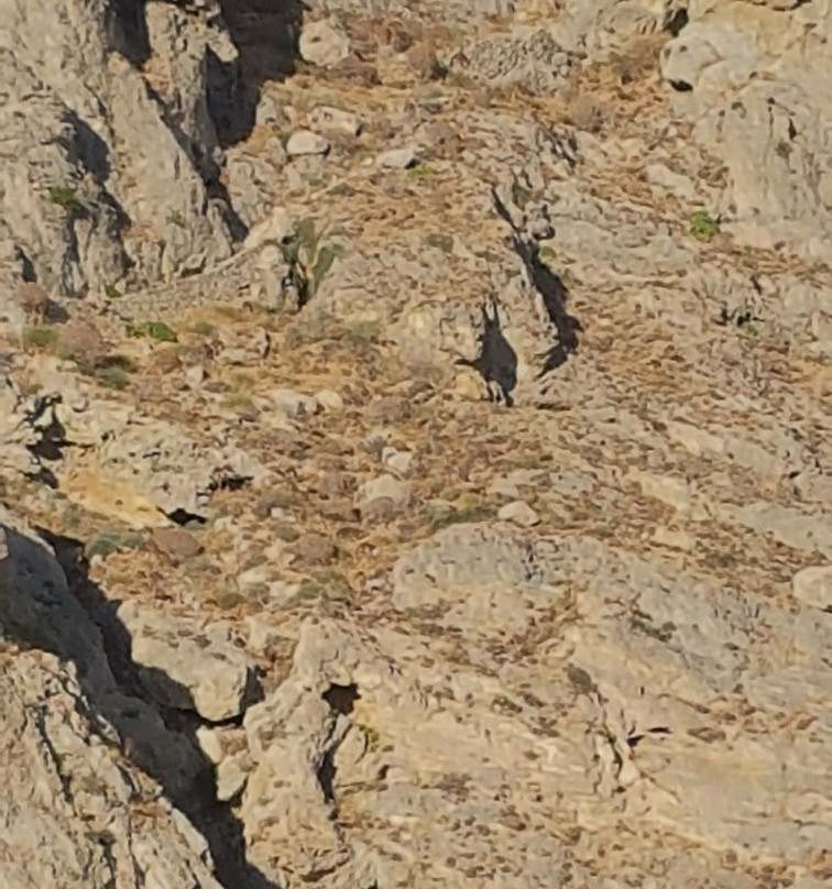 阿特米斯佩里萨酒店主图