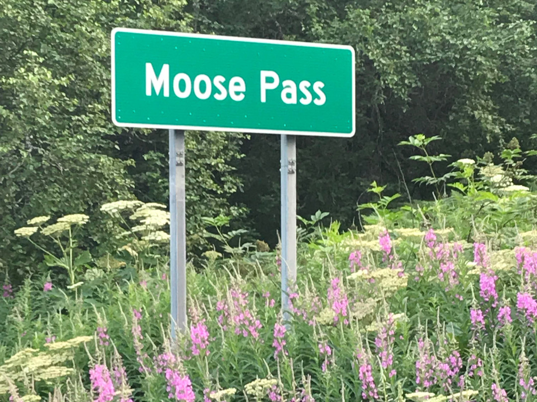 Midnight Sun Log Cabins主图