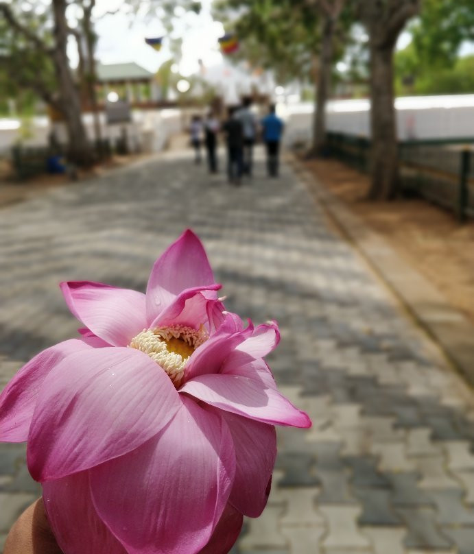 Kiri Vehera-卡塔拉伽马必去景点