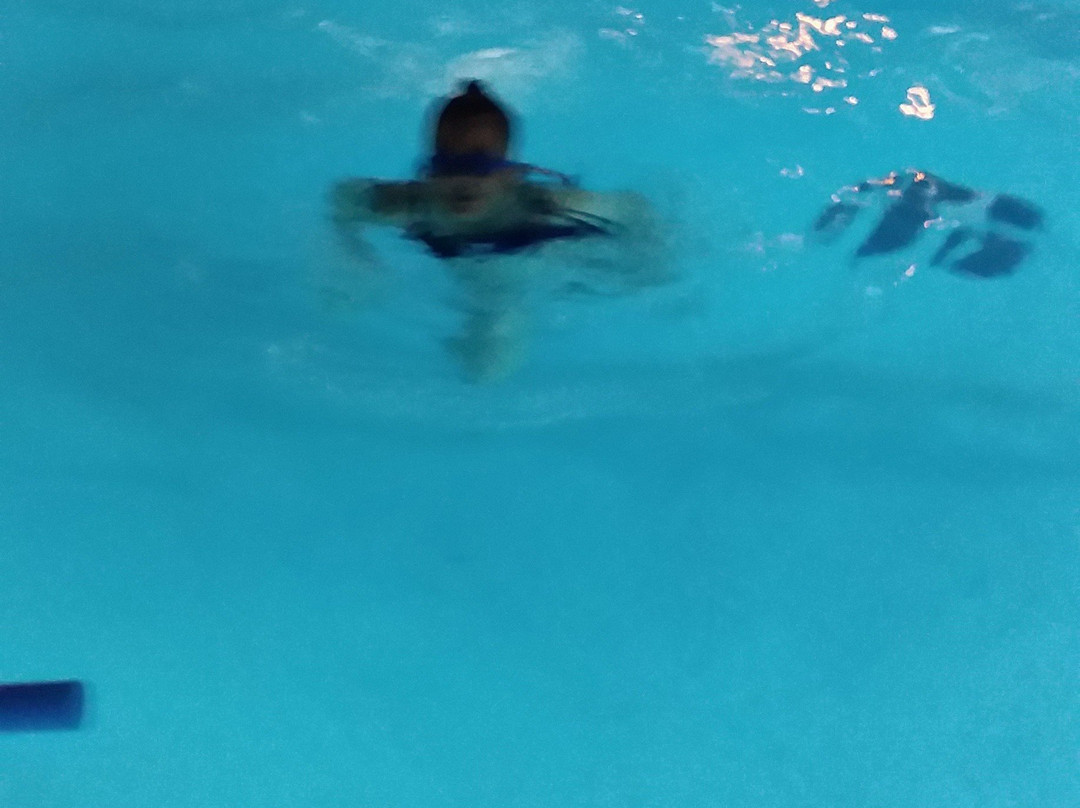 Comfort Inn Oak Ridge - Knoxville主图