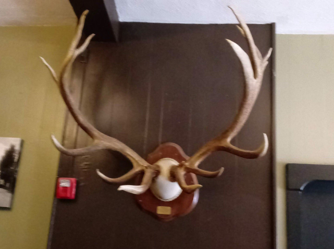 Ye Olde English Inn主图