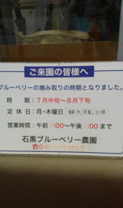 Ishiguro Blueberry Farm-稻城市必去景点