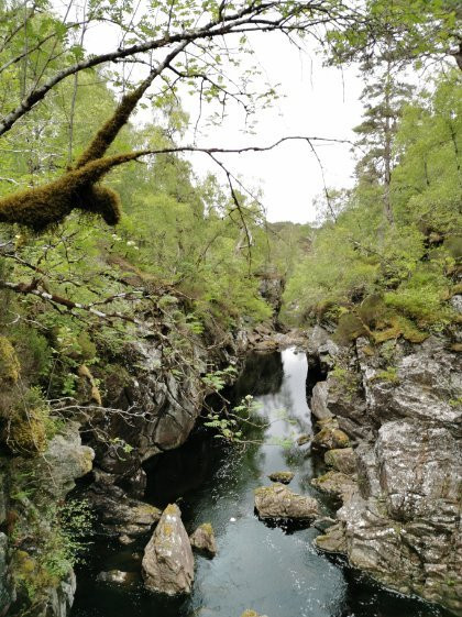 Dog Falls-Tomich必去景点