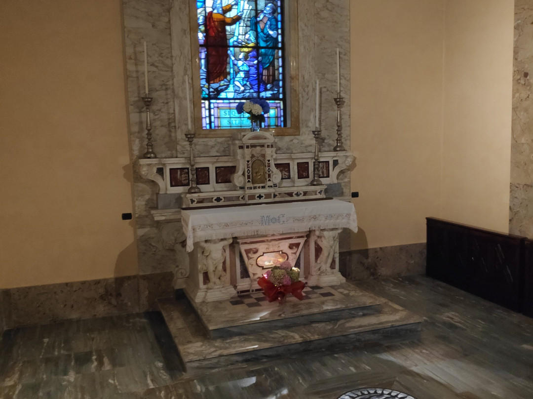 Santuario della Madonna di San Marco景点图片