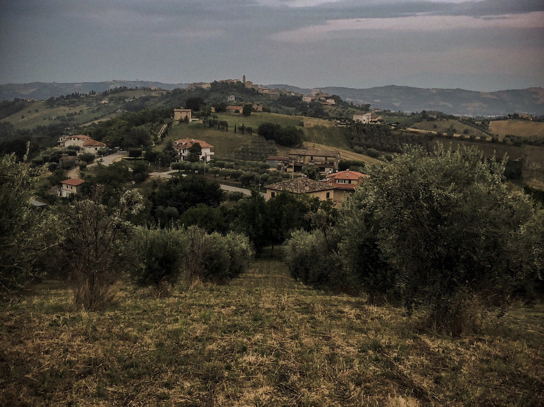 Agriturismo Villa Bussola主图