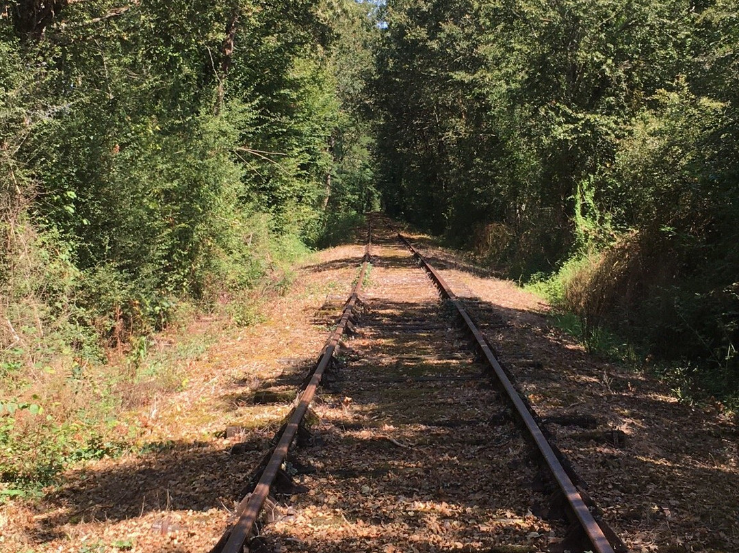 Chemin de Fer de Charente-Limousine景点图片