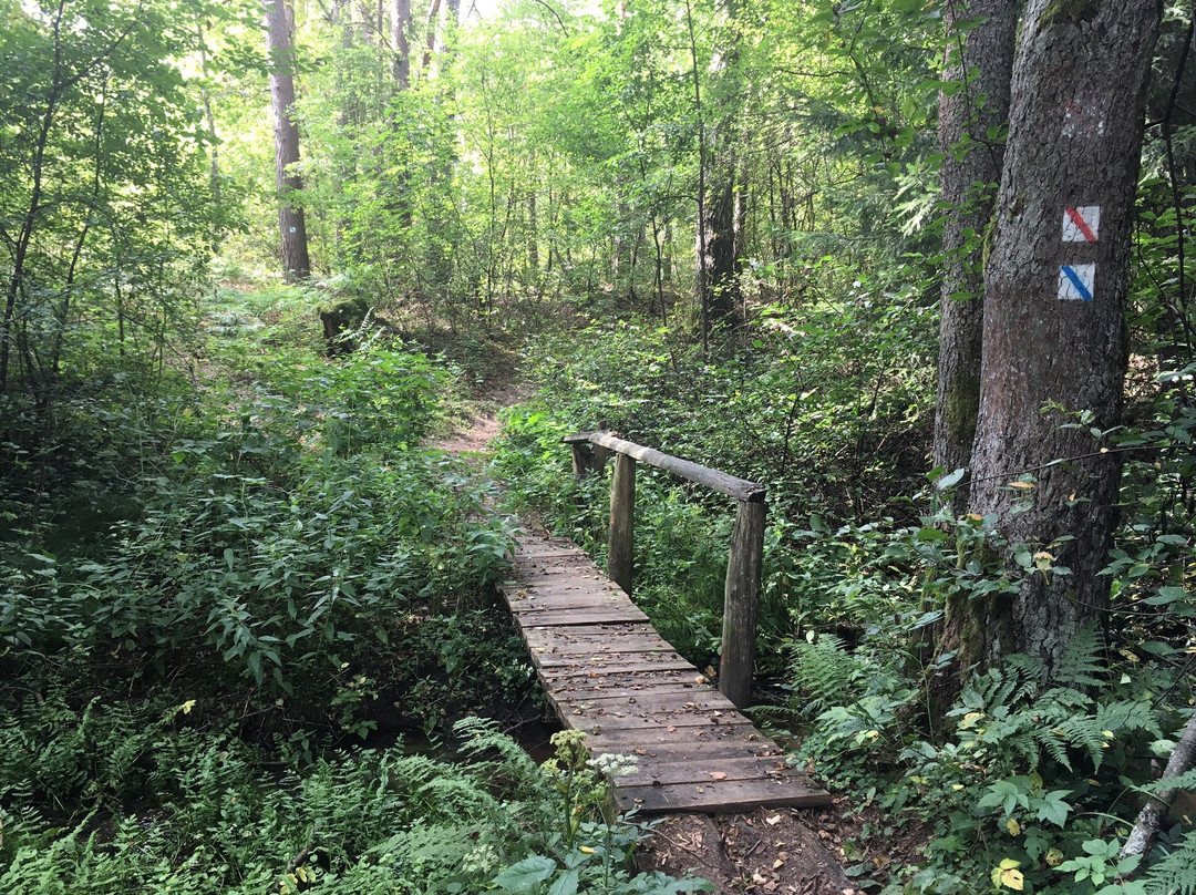 Dzukija National Park-Merkine必去景点