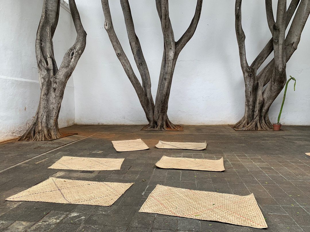 Museo de Arte Contemporaneo de Oaxaca (MACO)-瓦哈卡必去景点