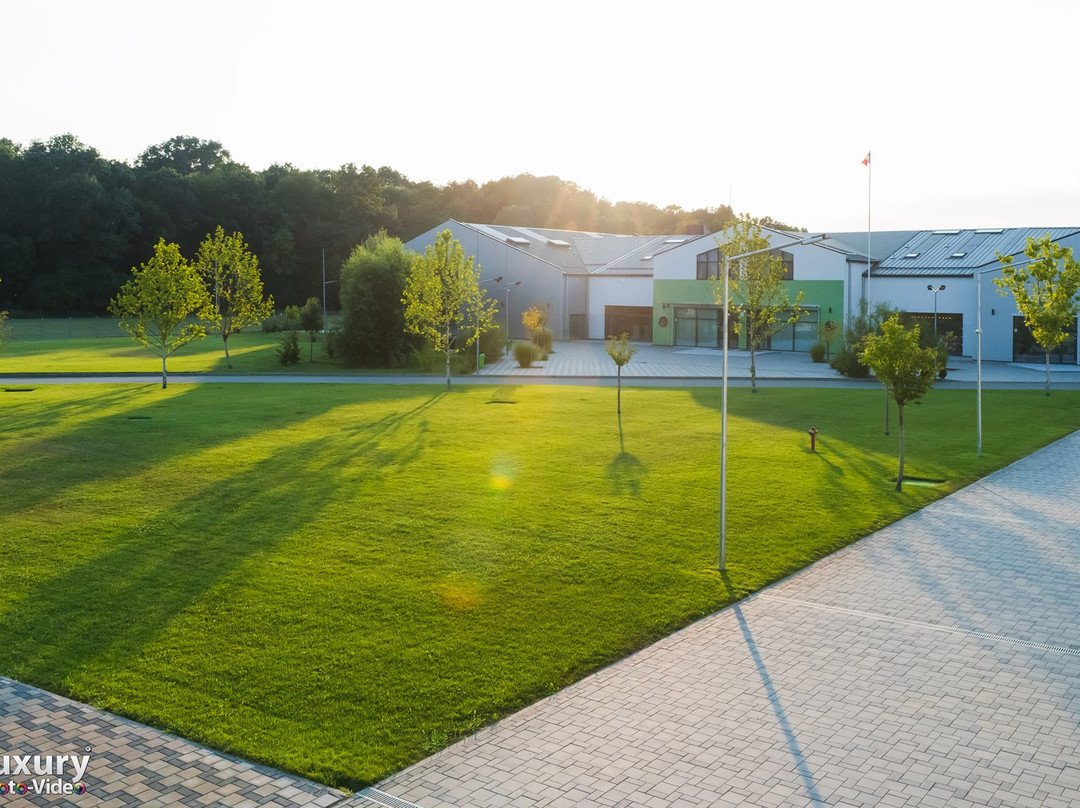 Domnesti旅游攻略图片