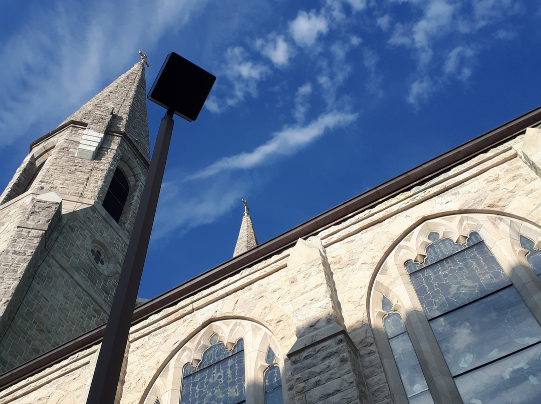 The Basilica of St Mary of the Angels-Olean必去景点