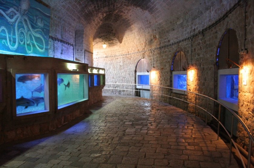 Dubrovnik Sea Aquarium景点图片