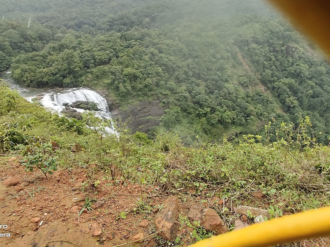 Mallalli Falls景点图片