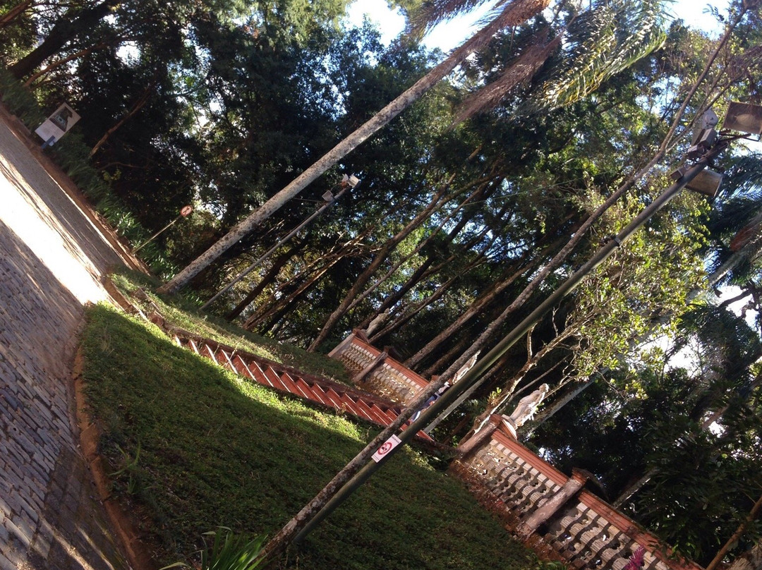 Mariano Procopio Museum-Juiz de Fora必去景点