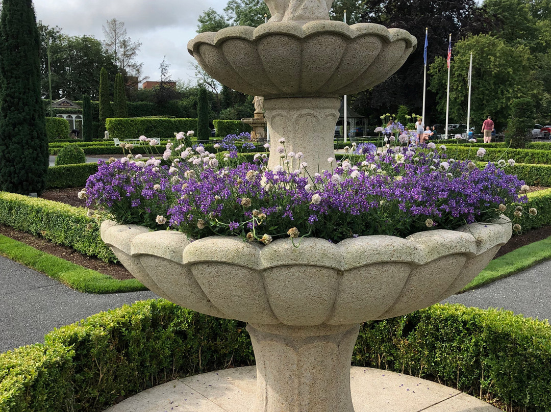 Finnstown Castle Hotel主图