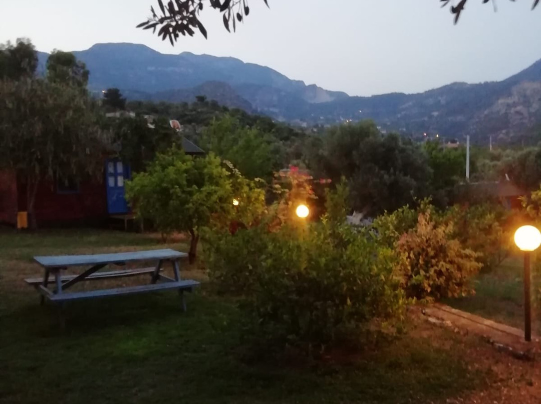Ovabuku Plajı景点图片