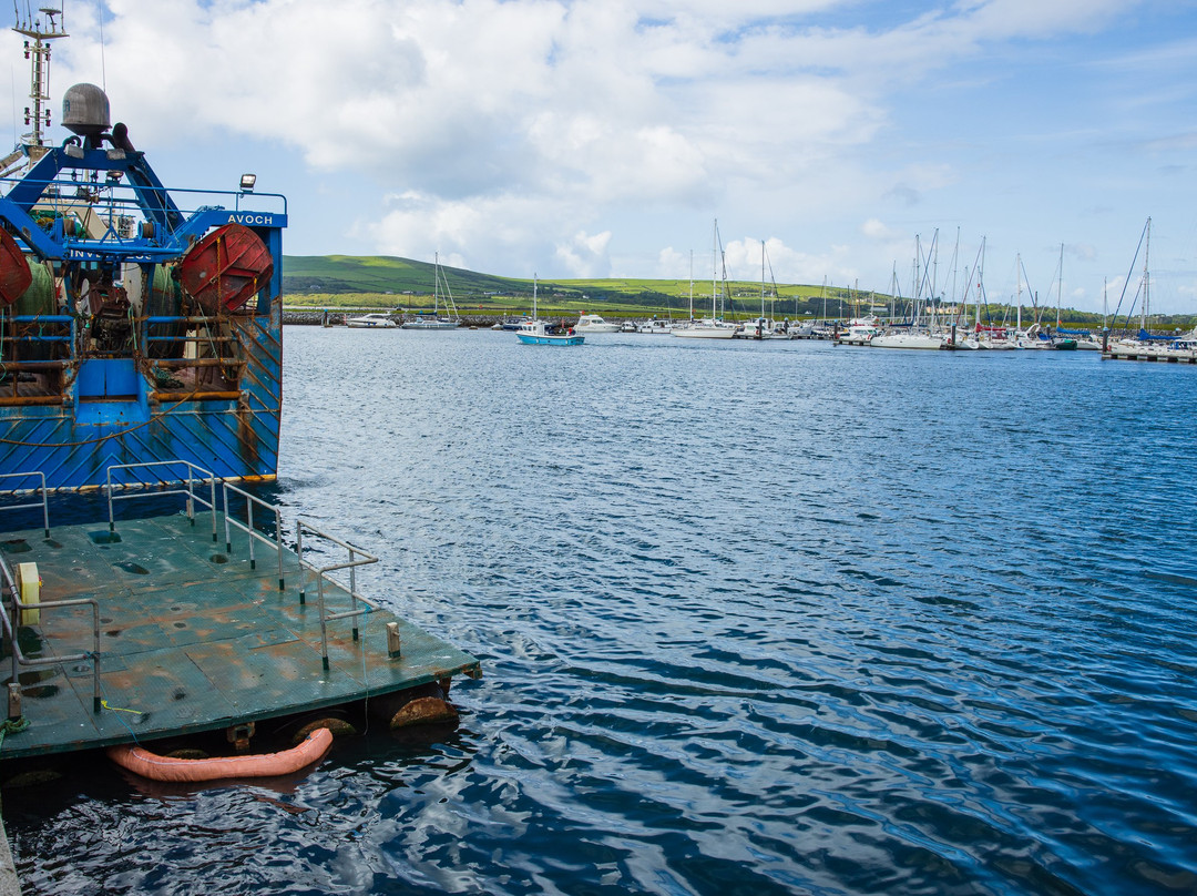 Dingle Bay-丁格尔必去景点
