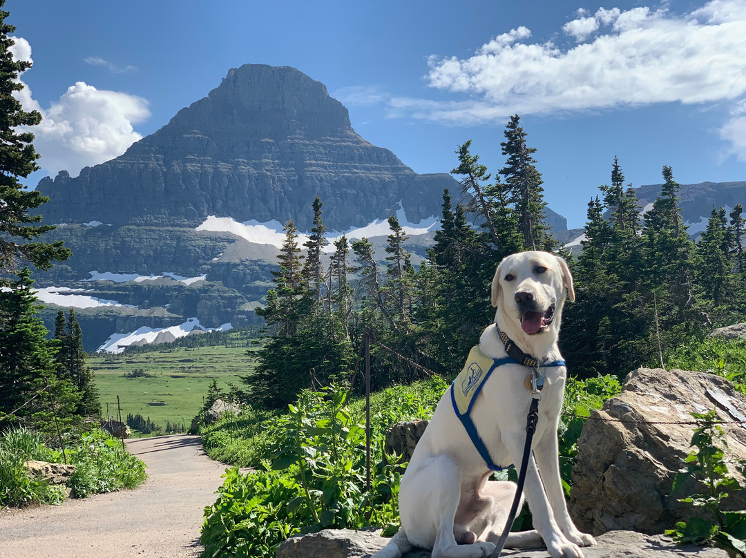 Montana Vortex and House of Mystery-Columbia Falls必去景点