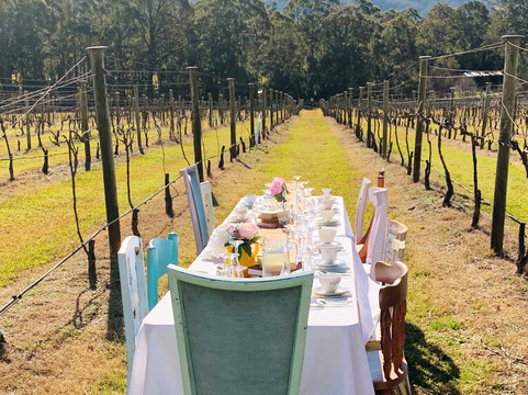 Kenny Escapes-悉尼必去景点