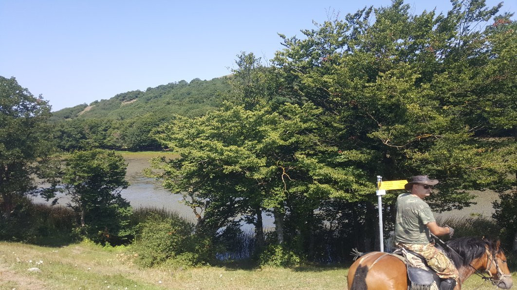 Didgori Valley-Manglisi必去景点