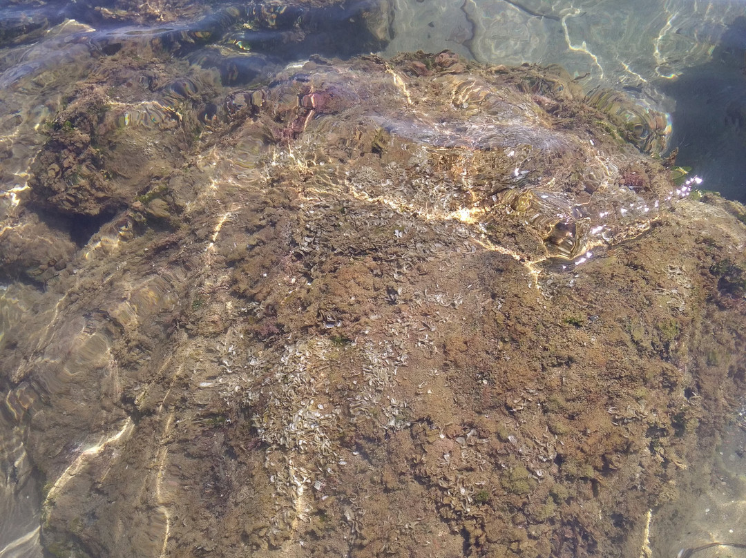 Spiaggia delle Rocchette景点图片