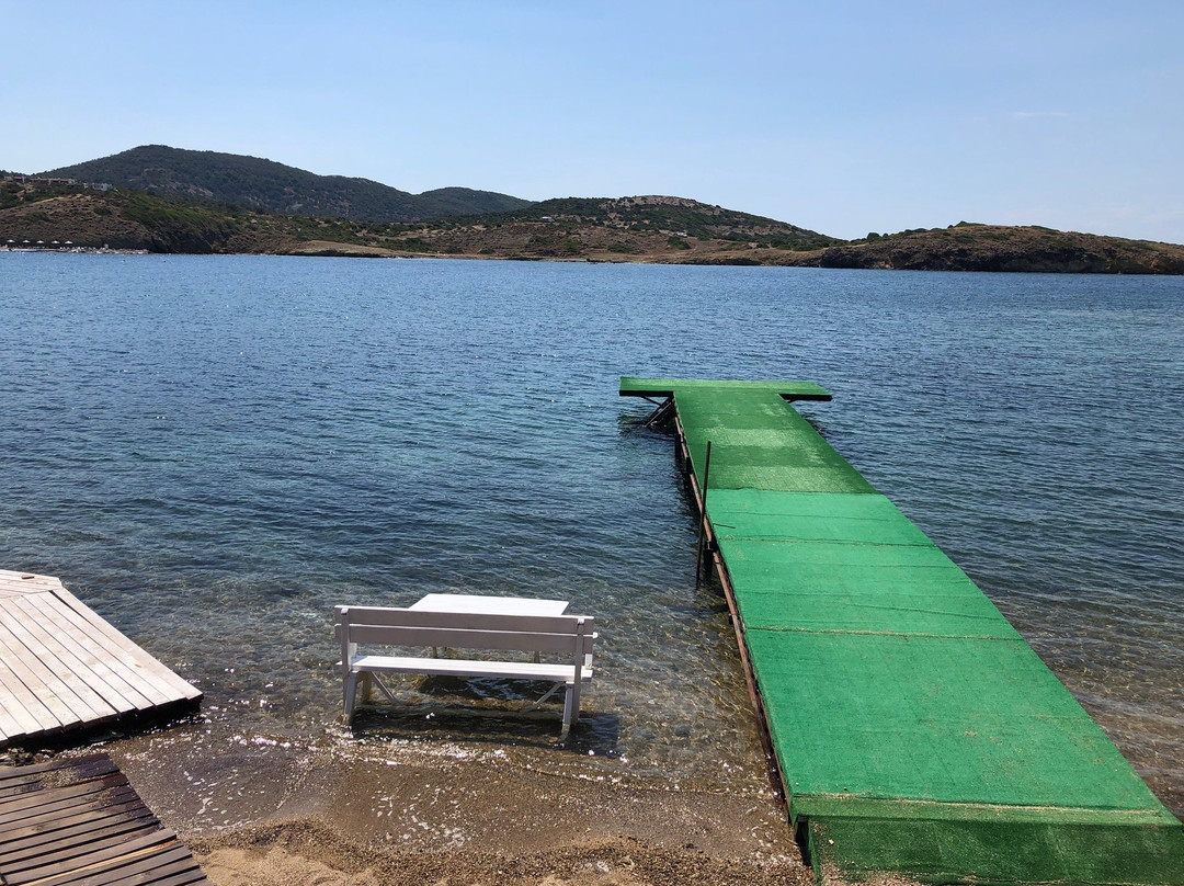 Pollen Tatil Koyu