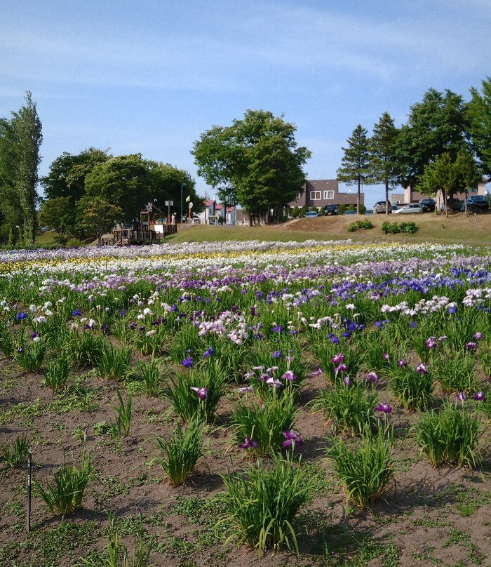 Ayame Park Fureaikan景点图片
