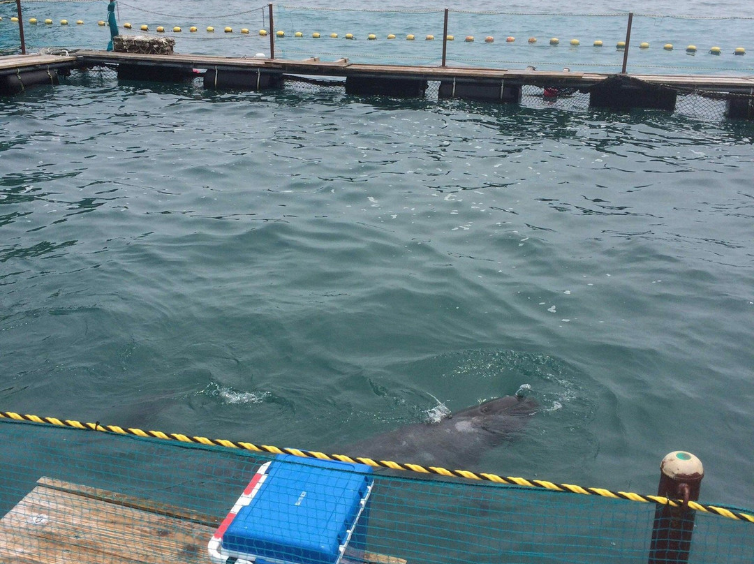 Kujirahama Beach-太地町必去景点