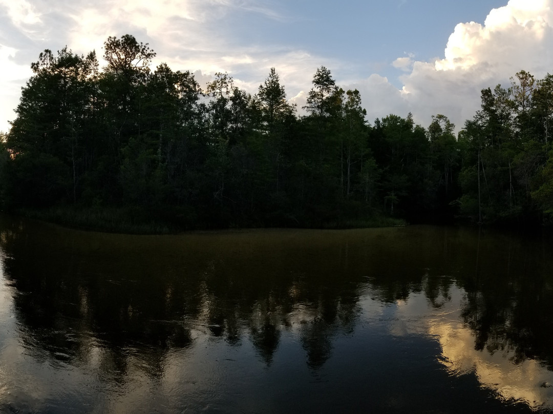 Turkey Creek Nature Trail景点图片