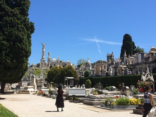 Cimetière du Monastère de Cimiez-尼斯必去景点