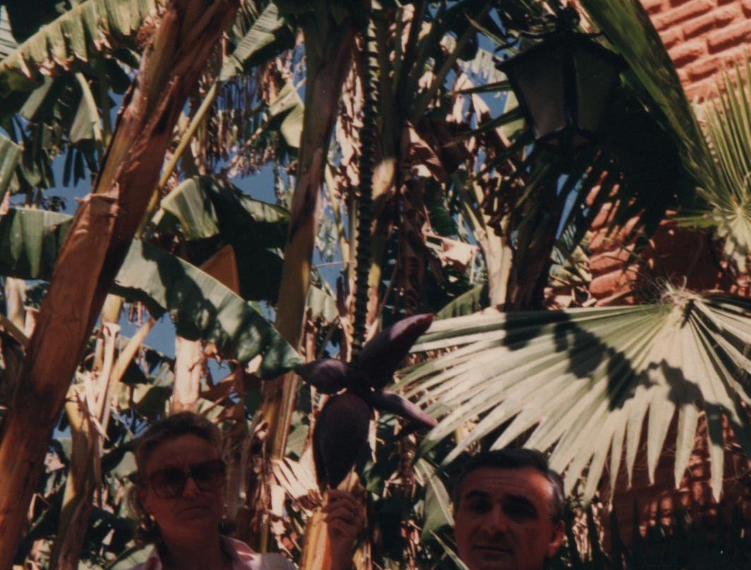 Taroudant Guided Tours-塔鲁丹特必去景点