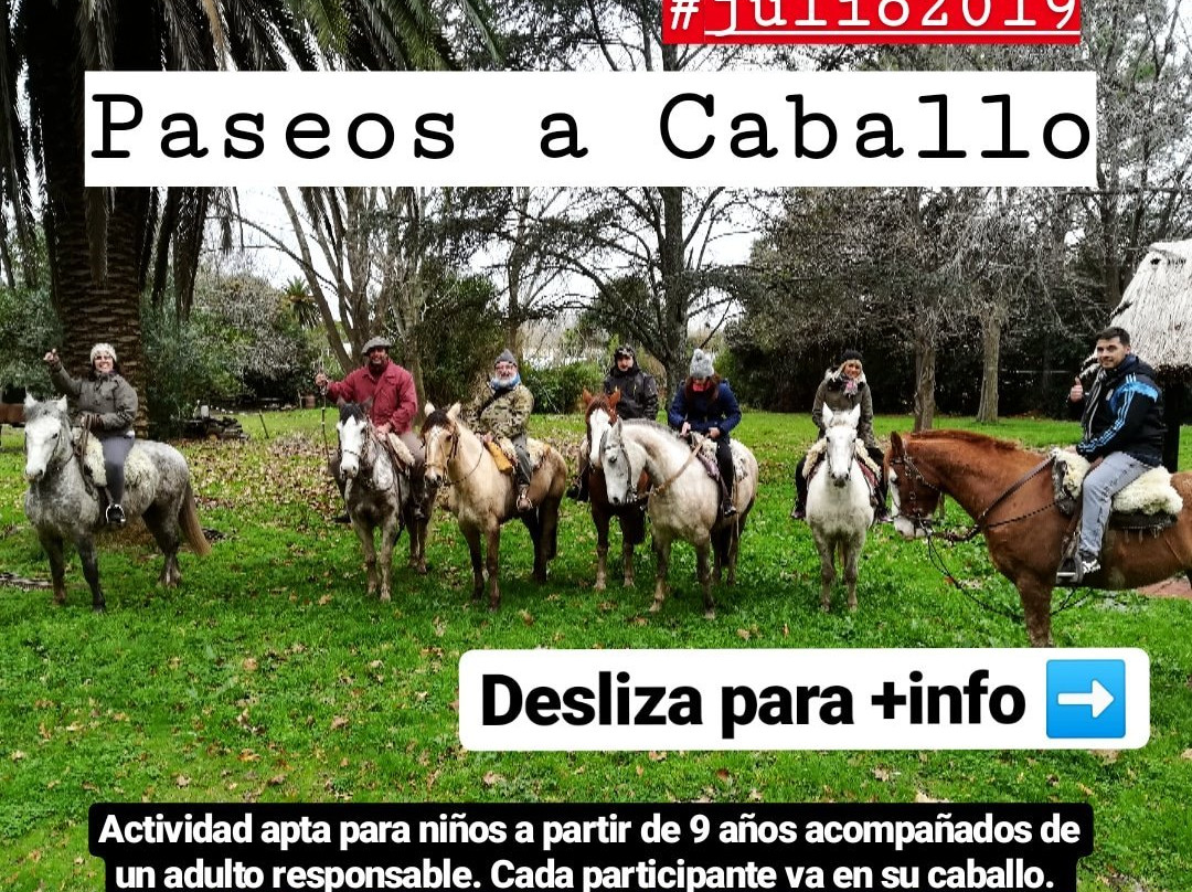 Cabalgatas De Uribelarrea景点图片
