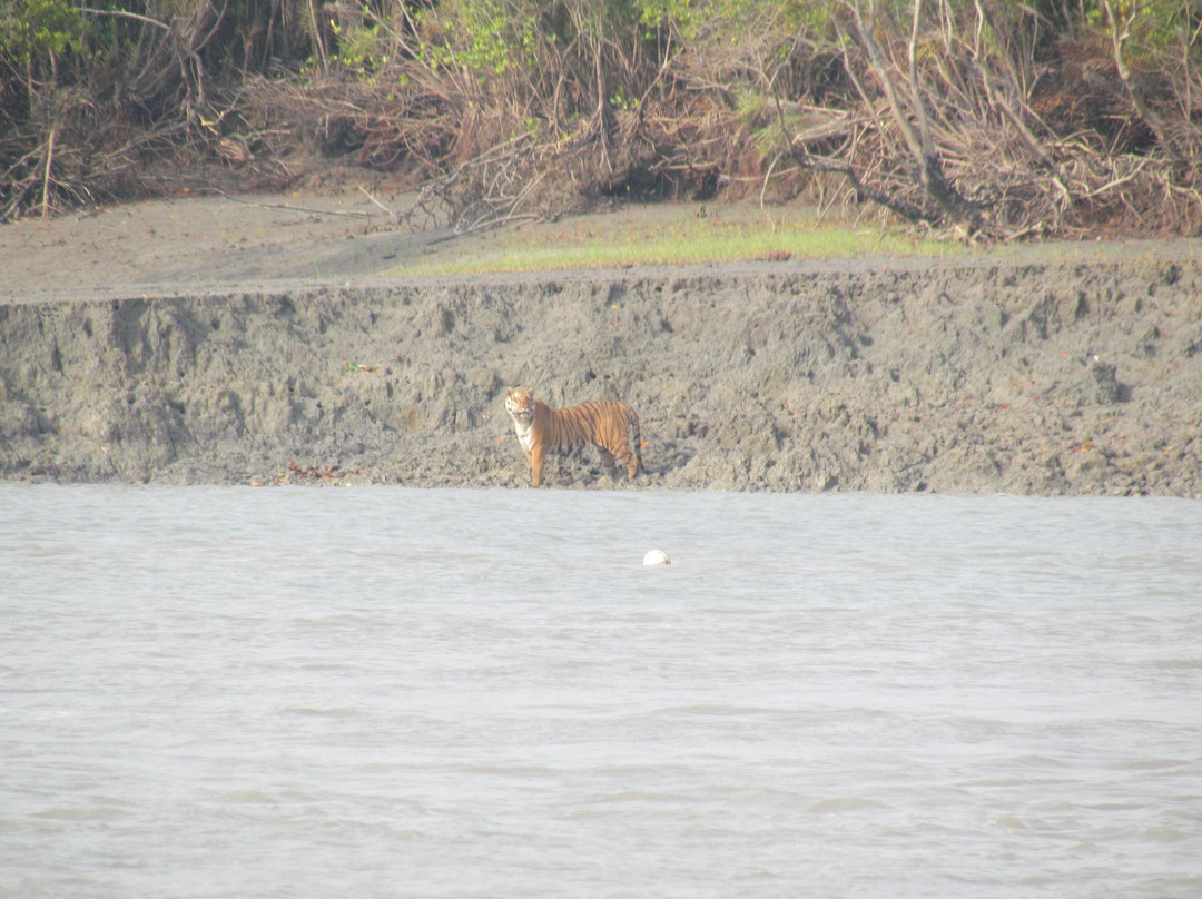 Lets Meet Up Sundarban-Gosaba必去景点
