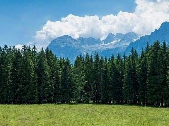 Piana di Palus San Marco-奥龙佐迪卡多雷必去景点