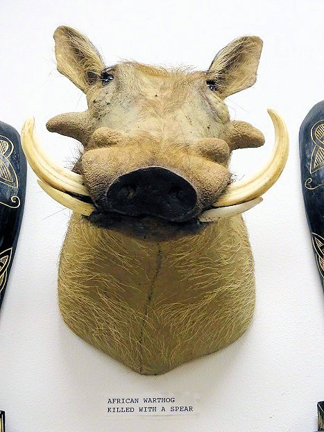 The Spear Hunting Museum-Summerdale必去景点