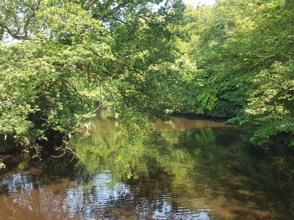 River Nidd Waterside Walk景点图片