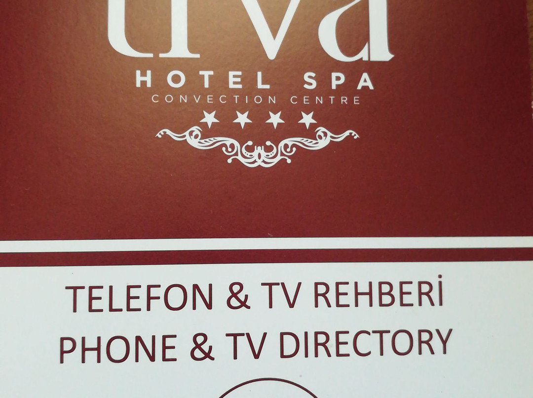 Liva Hotel主图