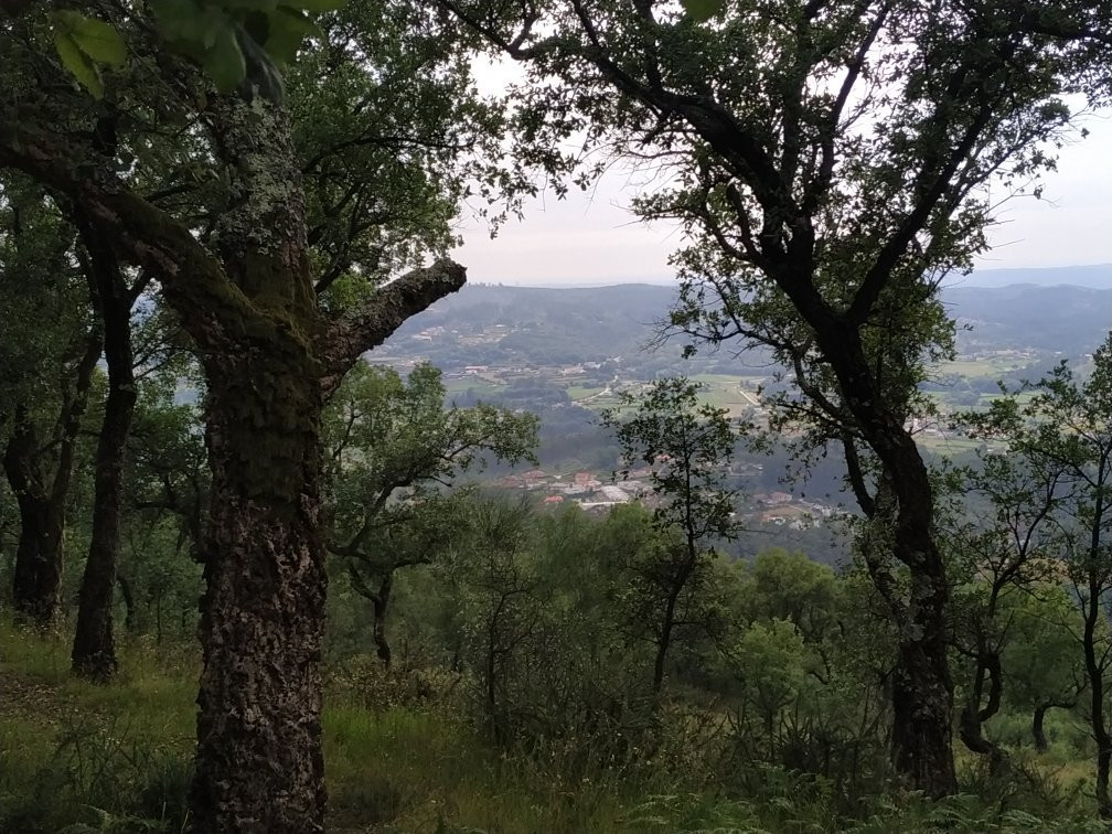 Castro do Monte Padrão景点图片